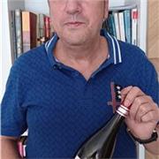PROFESOR DE PRIMARIA PARA TODAS EDADES/NIVELES . MADRID. CLASES PARTICULARES ONLINE